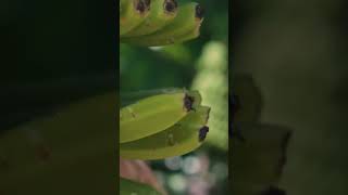 I Took My Fujifilm X-T30 II to Gran Canaria and Was Not Prepared for This #film #cinematic #travel