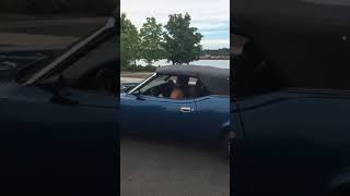 IMG 0858