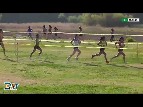 Video: Cómo conducir a campo traviesa: 11 pasos (con imágenes)