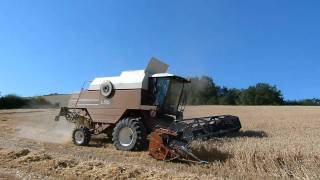 Moisson du blé 2011 avec Fiatagri L521 Intégrale