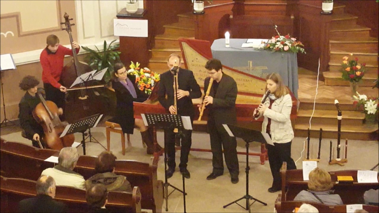 Sylvia Corinna Rosin - Blue Train