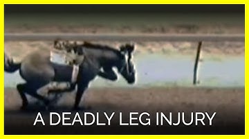 The One Leg Injury Even Worse Than Louisville