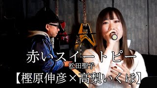 Download lagu 赤いスイートピー/松田聖子【樫原伸彦×高梨いくほ】