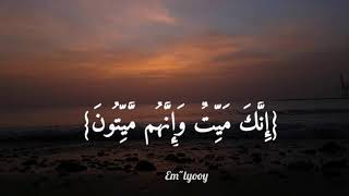 آيات قرآنية ، إنك ميتٌ وإنهم ميتون ، حالات واتس اب قصيرة 💜.