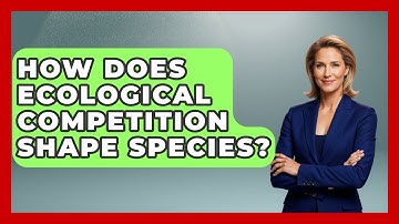 How Does Ecological Competition Shape Species? - Explaining Ecology