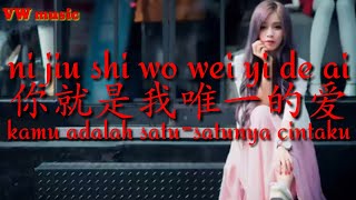 Video thumbnail of "你就是我唯一的爱 Ni Jiu Shi Wo Wei Yi De Ai - 谭艳 Tan Yan"