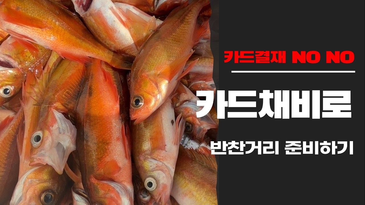 카드결제 NO 카드채비로 음식 재료 준비하기  EP-316