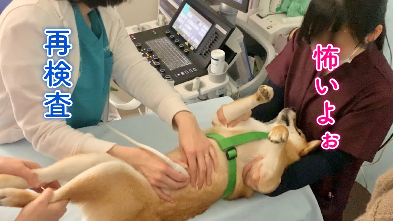 Re-examinationfuture treatment - YouTube