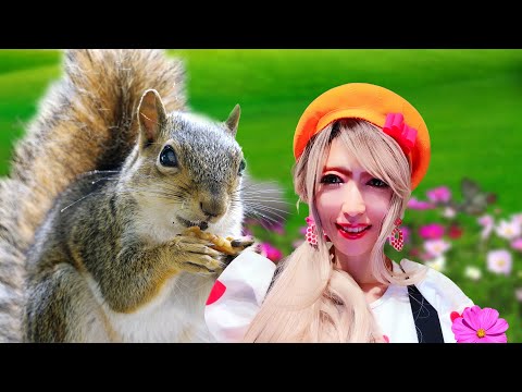 Squirrel Charming Singer Chelsea 歌う福りすのおねえさん チェルシー