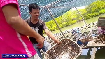 Một Ngày Đi Câu Cá Biển | Cái Kết Có Hậu