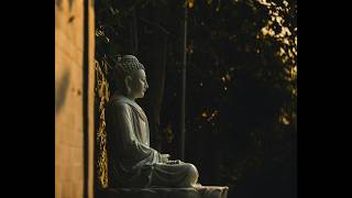 Dr Joe Dispenza - Unlock Your Dream Life - 20 Min Guided Meditation