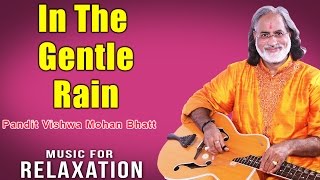 In The Gentle Rain Pandit Vishwa Mohan Bhatt Album Music For Relaxation Music Today