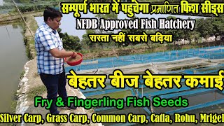 सम्पूर्ण भारत में मिलेगा प्रमाणित फिश हैचरी की मछली सीड्स Fish Seed Supplier Kolkata #FishFarming