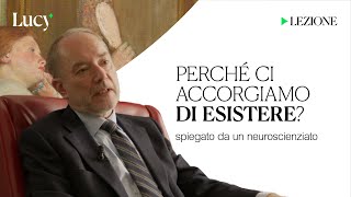 Perché ci accorgiamo di esistere? La lezione di Giorgio Vallortigara | Lucy - Sulla cultura