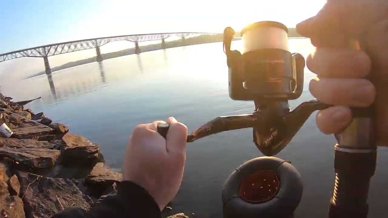 CATCHING STRIPERS! 2023 Striper season, A GREAT start! YouTube