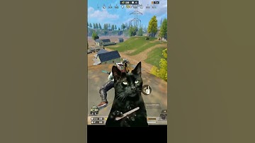 Meow camping in farm #callofdutymobile #codmobile #codm