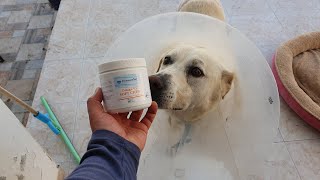 dog supplement - Dermato Vet ProFessional Formula Omega-V3 SOFT CHEW For Small & Medium Dogs & Cats screenshot 5