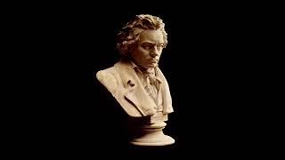 Ludwig van Beethoven - Piano Sonata Nº 29 Op 106 (Hammerklavier)