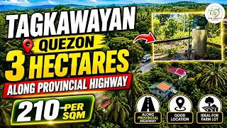 A95 - Property of Tagkawayan | 3 Hectares | Along Provincial Highway | 3 Bungalow House