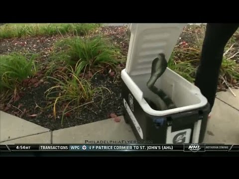 Flyers' players get scared by a fake snake