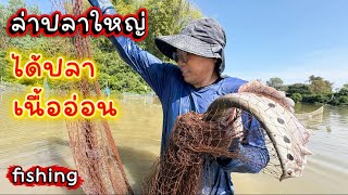 Download Lagu ล่าปลาใหญ่ ได้ปลาเนื้ออ่อน เจอปลานาง ปลาค้าว ปลาเซียม ปลาบู่ ปลากราย #fishing  MP3