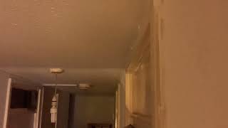 IMG 5222 04:39 29 APR 2026