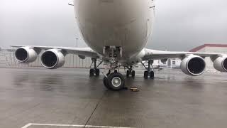 PHYTON EFFECT ON FLIGHT