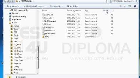 Verschieben Sie die größte Datei in den Ordner tests