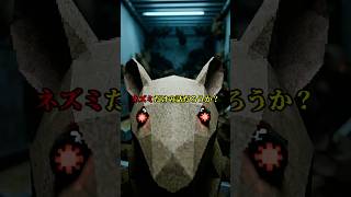 When Paradise Becomes Hell: Universe 25 #psychology #shorts