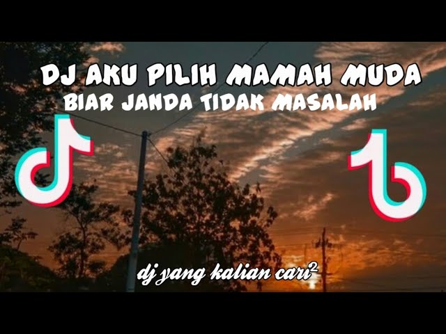 DJ AKU PILIH MAMAH MUDA BIAR JANDA TIDAK MASALAH ||dj yang kalian cari ||dj tiktok❗❗❗❗ class=