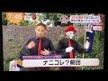 【めざましテレビ出演？？】ナニコレ？劇団