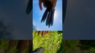 LureWorks Mint Brown w/ Orange Flake Soft Plastics #baitmaking #softplastics #livestream screenshot 5