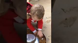 #dog #puppy #viral #pets