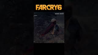 || How To Feed Pelican’s In Far Cry 6 || #trending #farcry6 #reels #status #shorts || How To Feed Pelican’s In Far Cry 6 || #trending #farcry6 #reels #status #shorts