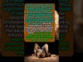 3 SECONDS Your Dog DECIDES To TRUST Or NOT (SILENT JUDGMENT) #dogpsychology #puppy #dogtalk
