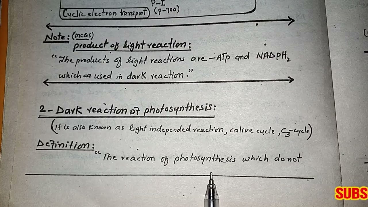 Dark Reaction Of Photosynthesis || Complete Process || Class 11 || Hindi Urdu ||