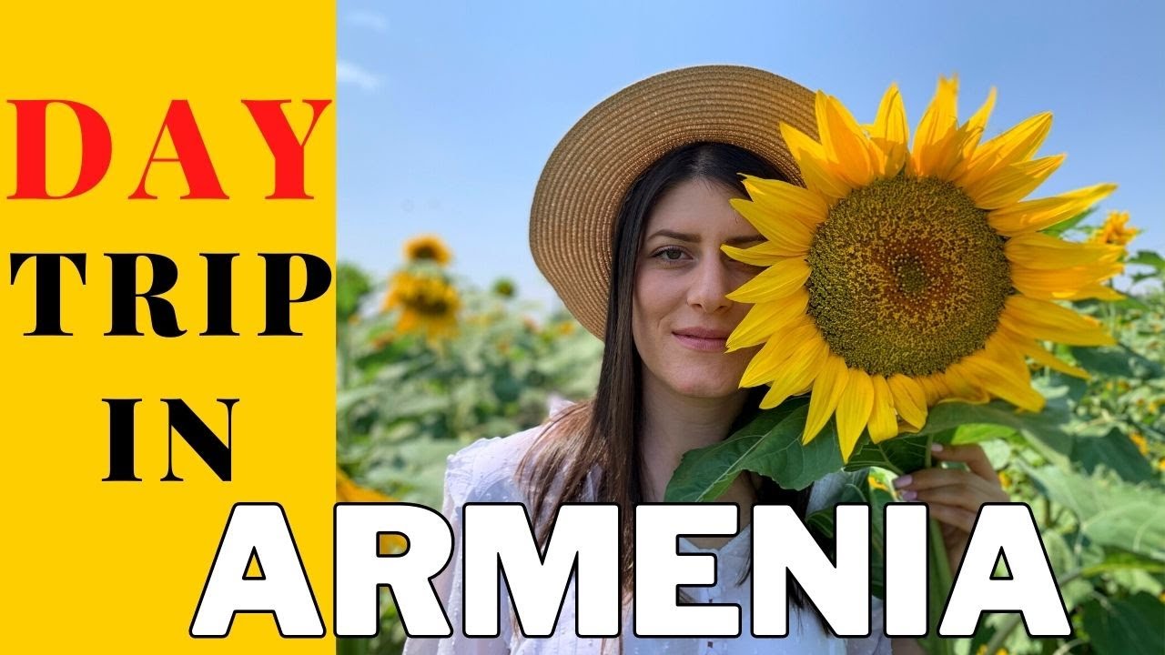 Sunflower field in Armenia (MrgashatՄրգաշատ) Արևածաղիկների դաշտ YouTube