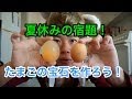 夏休みの宿題!卵の宝石を作ろう!#自由研究 #夏休みの宿題