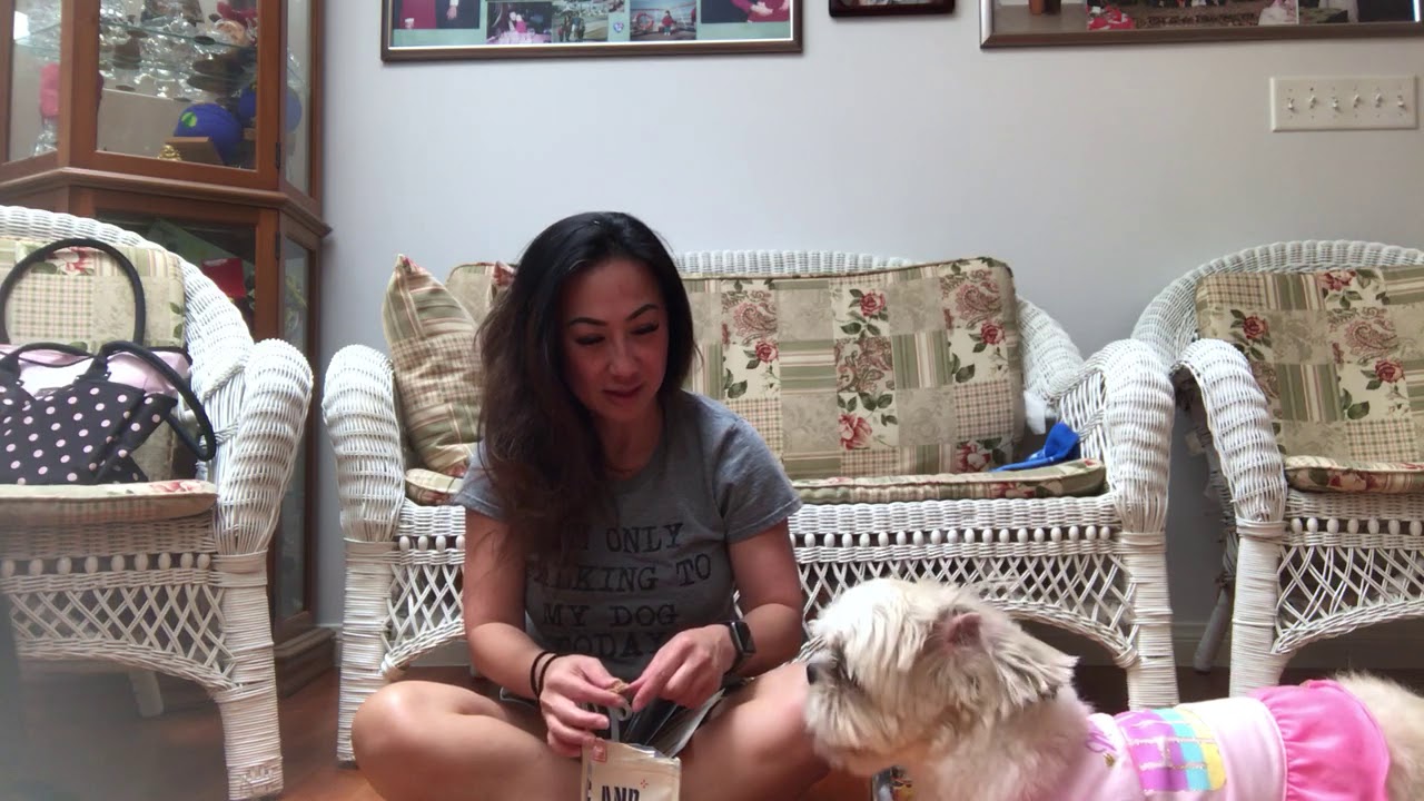 Bark Box March 2019 Unboxing