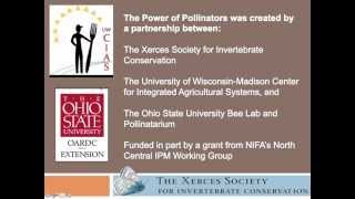 The Power of Pollinators Intro Video.mp4