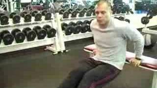 Bench Dip Exercises