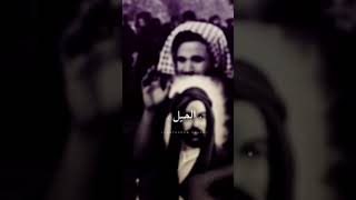 لطميه|| ريت الروح_ طول عمري ||حيدر الفريجي|| الطميات حسينيه #لا_تنسى_الشتراك