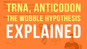 tRNA, Anticodons, and The Wobble Hypothesis
