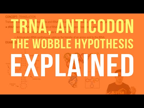 Βίντεο: Τι κάνει το Anticodon;