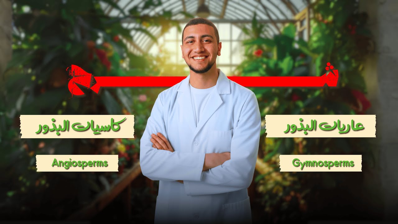 شرح كاسيات وعاريات البذور | Angiosperms vs Gymnosperms 🌱