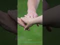 AI Will Transform Everyday Life