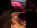 山形旅！天然温泉　温泉付き部屋で…　自由に…　　　　