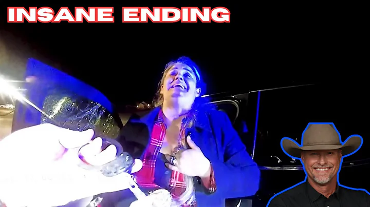 Simple Traffic Stop Turns into 15 Charges