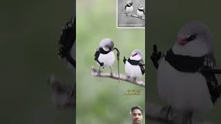 sawrryshortsviralshorts ytshorts