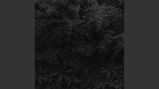 Download Lagu sub cinere MP3